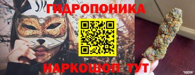 индика Будённовск