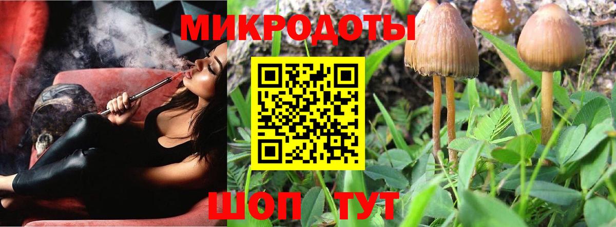 Павловский Посад  Псилоцибиновые грибы Magic Shrooms  Вход с VPN  Псилоцибиновые грибы прущие грибы 